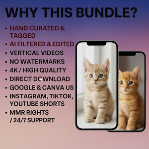 May include: Two smartphones show images of cute kittens. The text "WHY THIS BUNDLE?" is at the top, with bullet points listing features such as "HAND CURATED & TAGGED" and "4K/HIGH QUALITY". The background has a gradient of purple and blue.