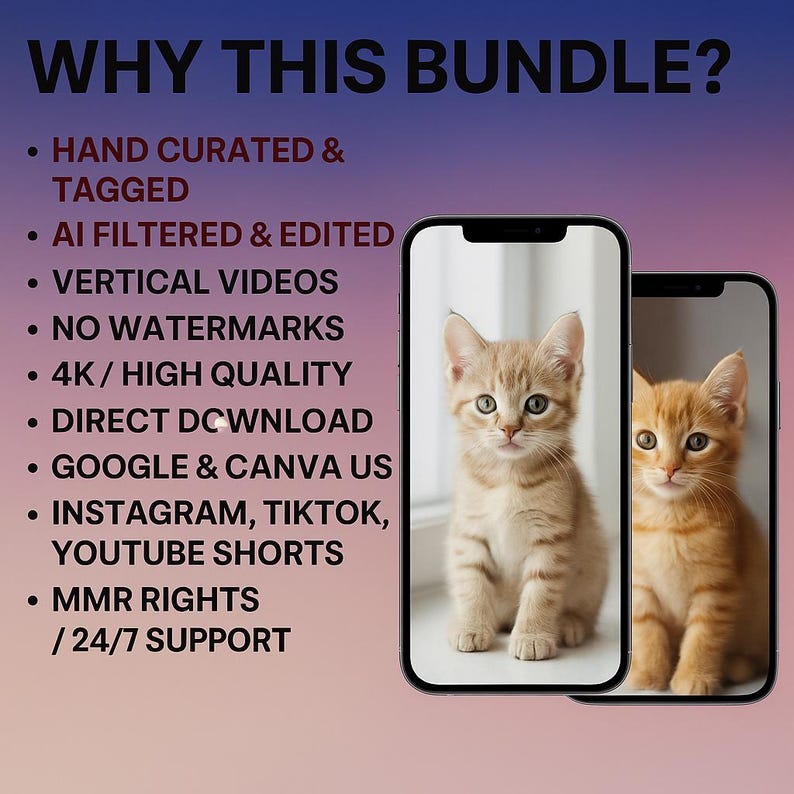 May include: Two smartphones show images of cute kittens. The text "WHY THIS BUNDLE?" is at the top, with bullet points listing features such as "HAND CURATED & TAGGED" and "4K/HIGH QUALITY". The background has a gradient of purple and blue.