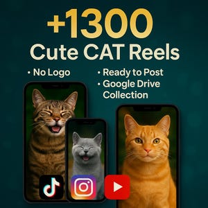 May include: An advertisement for "Cute CAT Reels" showing three smartphones with images of smiling cats. The text includes "+1300", "No Logo", "Ready to Post", and "Google Drive Collection". Social media icons for TikTok, Instagram, and YouTube are also visible.
