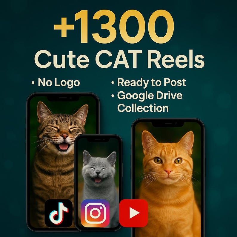 May include: An advertisement for "Cute CAT Reels" showing three smartphones with images of smiling cats. The text includes "+1300", "No Logo", "Ready to Post", and "Google Drive Collection". Social media icons for TikTok, Instagram, and YouTube are also visible.