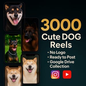 Pacchetto di oltre 3000 video di cani e cuccioli carini, video di cani e animali domestici scaricabili digitalmente per social media, Instagram, YouTube, Facebook, TikTok