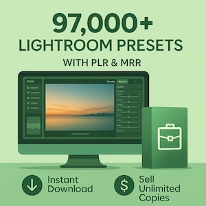 Bundel met 97.000 Lightroom-presets: PLR- en MRR-rechten (digitale download)