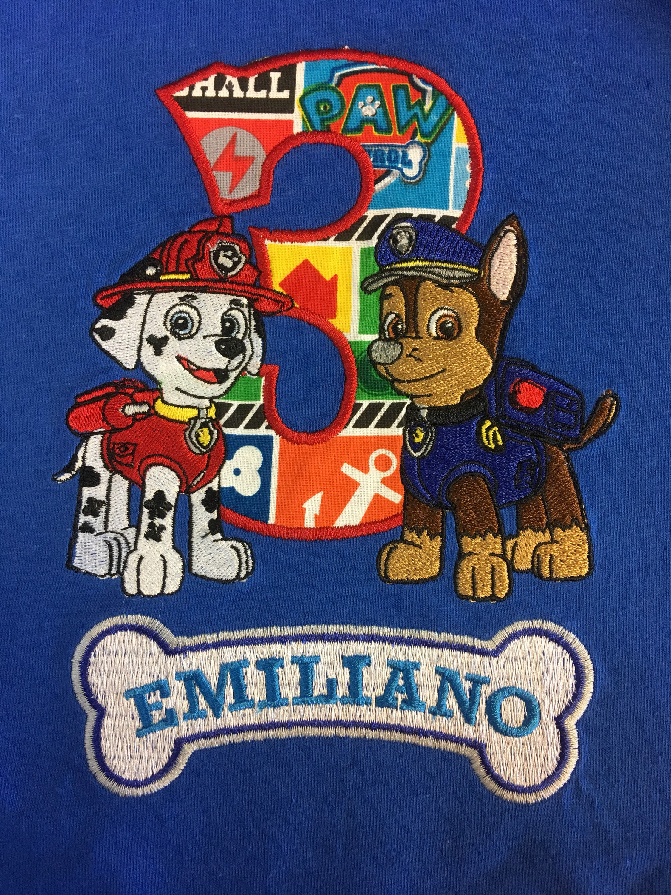 Pups birthday shirt, chase and marshal