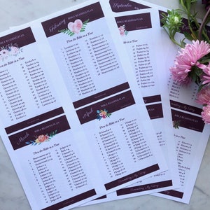 Through the Bible in a Year Reading Plan PDF Printable Download