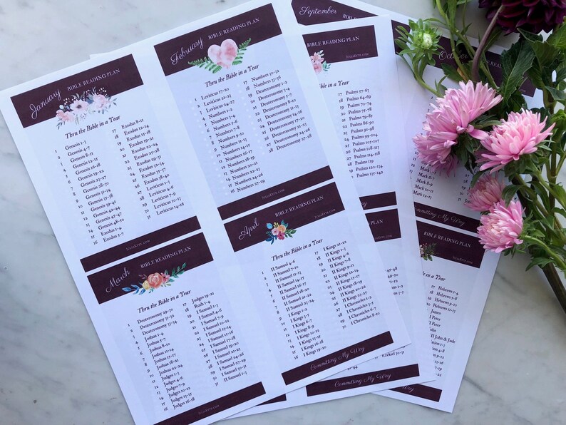 through-the-bible-in-a-year-reading-plan-pdf-printable-download-etsy
