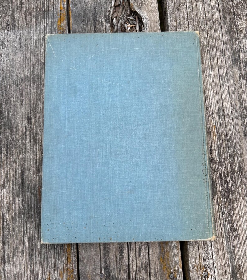 Pu&ograve; includere: Un libro rettangolare con una copertina in tessuto tinta unita color blu-verde spento. La copertina presenta una trama tessuta visibile e mostra lievi segni di usura, tra cui sottili graffi superficiali e una lieve decolorazione lungo il bordo destro.