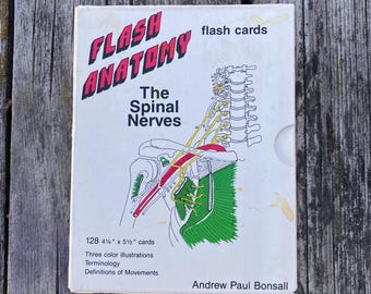 Flash Anatomy The Spinal Nerves autorstwa Andrew Paula Bonsalla, wydanie pierwsze 1991, zabytkowe karty Flash dla studentów medycyny
