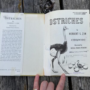 May include: An open hardback book titled Ostriches by Herbert S. Zim, featuring a black and white illustration of an ostrich and eggs on the title page, with text detailing ostrich facts on the left flap and publication information on the right.