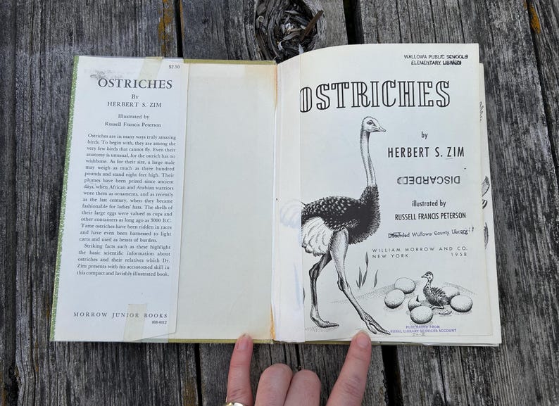 May include: An open hardback book titled Ostriches by Herbert S. Zim, featuring a black and white illustration of an ostrich and eggs on the title page, with text detailing ostrich facts on the left flap and publication information on the right.