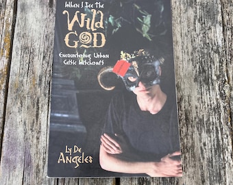 Wenn ich den wilden Gott sehe: Begegnung mit urbaner keltischer Hexerei von Ly De Angeles (2004, Vintage-Buch)