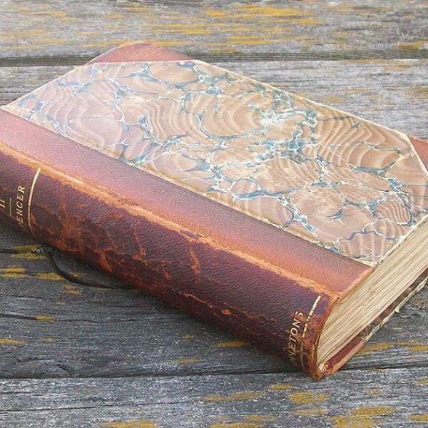 Vintage The Principles of Biology Volume 2 by Herbert Spencer 1900 Antique