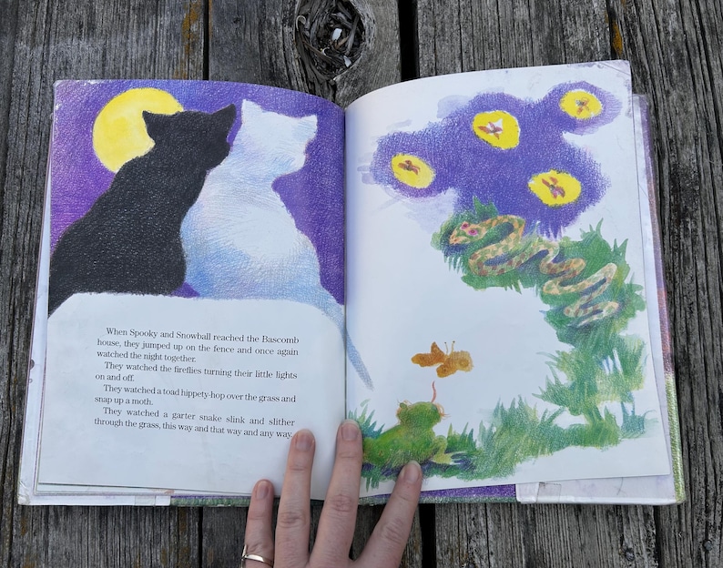 K&ouml;nnte beinhalten: Ein aufgeschlagenes Kinderbuch mit Illustrationen einer schwarzen und einer wei&szlig;en Katze unter einem gelben Mond auf der linken Seite. Die rechte Seite zeigt eine Schlange, eine Kr&ouml;te, eine Motte und gelbe Gl&uuml;hw&uuml;rmchen vor einem violetten Himmel.