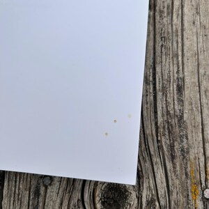K&ouml;nnte beinhalten: Ein glattes, einfarbig wei&szlig;es, rechteckiges Blatt Papier mit drei kleinen, hellbraunen, kreisf&ouml;rmigen Flecken in der N&auml;he der unteren rechten Ecke, platziert vor einem Hintergrund aus verwitterten, strukturierten grauen und braunen Holzbrettern.