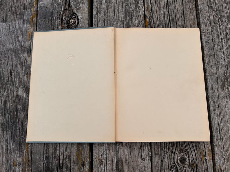 Pu&ograve; includere: Un libro aperto con pagine bianche color crema chiaro. Il libro &egrave; posizionato in piano, rivelando due pagine vuote dalla consistenza liscia. La rilegatura &egrave; visibile al centro e i bordi delle pagine sono dritti e puliti, senza testo o illustrazioni.
