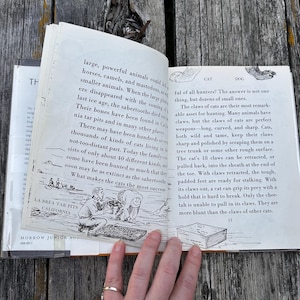 Puede incluir: Un libro de tapa dura abierto con p&aacute;ginas blancas y texto impreso en negro. La p&aacute;gina izquierda presenta una ilustraci&oacute;n en blanco y negro de personas en La Brea Tar Pits, California. La p&aacute;gina derecha contiene texto sobre garras.