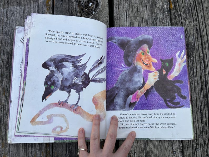 K&ouml;nnte beinhalten: Ein aufgeschlagenes Kinderbuch mit farbenfrohen Illustrationen eines schwarzen Raben auf einem Ast und einer Hexe, die eine schwarze Katze h&auml;lt. Die Seiten enthalten gedruckten Text, der die Szene beschreibt, mit violetten und wei&szlig;en Hintergr&uuml;nden.