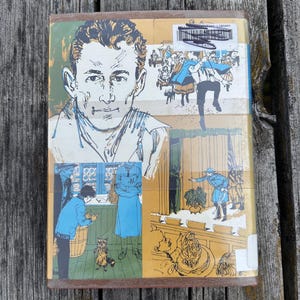 May include: A rectangular book cover featuring a large black and white sketch of a man's face. Below, a blue-toned illustration shows a person and a raccoon in a shop. To the right, a scene depicts a person on a stage with an American flag.
