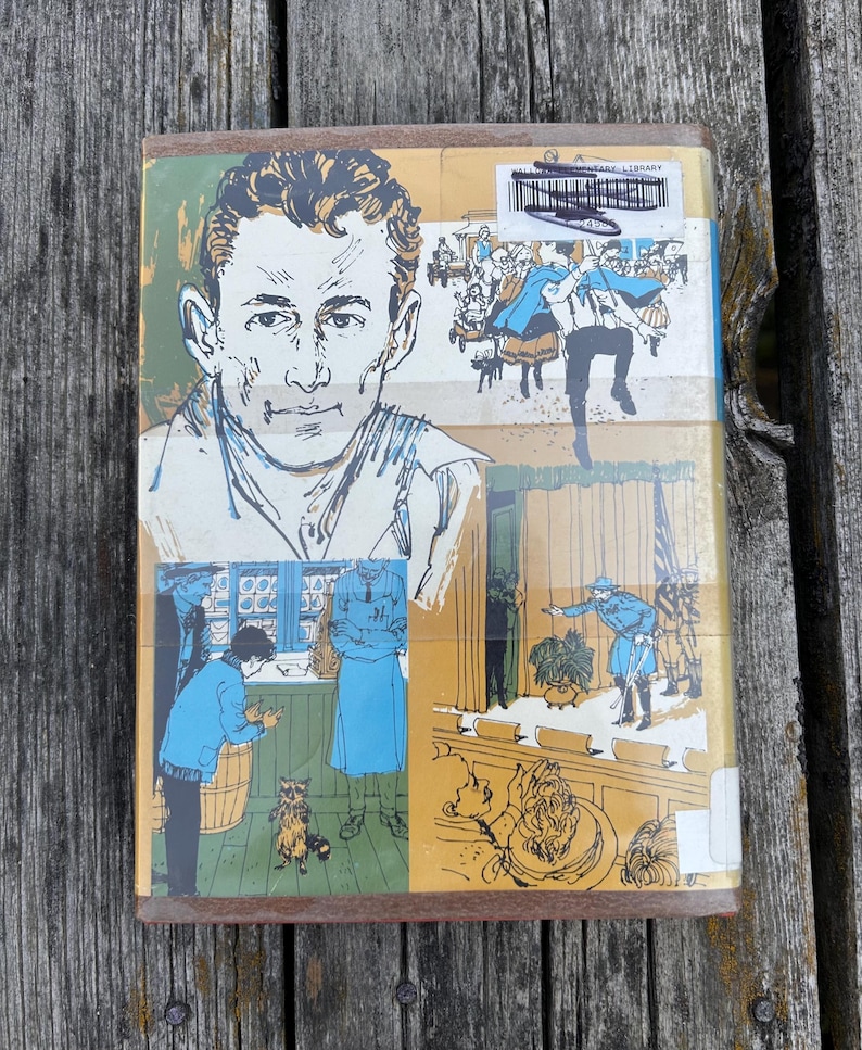 May include: A rectangular book cover featuring a large black and white sketch of a man's face. Below, a blue-toned illustration shows a person and a raccoon in a shop. To the right, a scene depicts a person on a stage with an American flag.