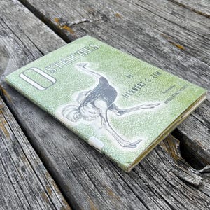 May include: A hardback book titled Ostriches by Herbert S. Zim with an illustration of an ostrich on the front cover. The cover features a textured light green background with white lettering and a black and white drawing of an ostrich.