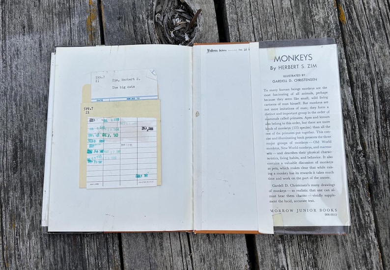 Puede incluir: Un libro de tapa dura abierto titulado Monkeys de Herbert S. Zim, con una sobrecubierta blanca con texto negro y un bolsillo para tarjeta de biblioteca pegado en la cubierta interior con una tarjeta de papel que contiene anotaciones en tinta azul.