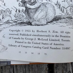 Puede incluir: Una ilustraci&oacute;n en blanco y negro en una p&aacute;gina de libro que muestra un carnero de las Rocosas. El texto dice: Copyright 1955 by Herbert S. Zim. All rights reserved. Published simultaneously in the Dominion of Canada by George J. McLeod Limited.