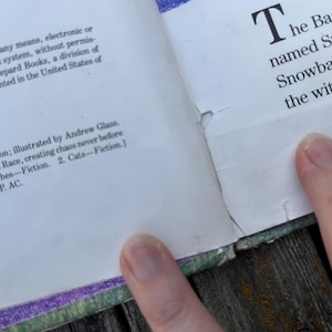 K&ouml;nnte beinhalten: Ein aufgeschlagenes Buch mit wei&szlig;en Seiten und schwarzem Drucktext. Die linke Seite zeigt Publikationsdaten und Copyright-Informationen, w&auml;hrend die rechte Seite einen Textauszug enth&auml;lt. Es gibt einen kleinen Riss im Papier nahe der Bindung.