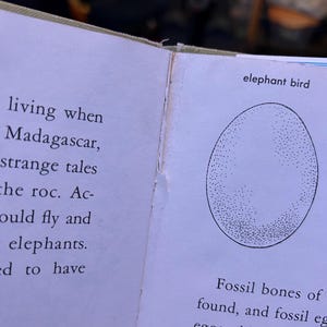 May include: An open book page featuring a black and white stippled illustration of an oval egg labelled elephant bird. The text on the left page mentions Madagascar and the roc, while the right page text discusses fossil bones and eggs.