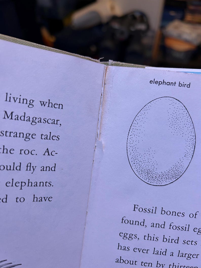 May include: An open book page featuring a black and white stippled illustration of an oval egg labelled elephant bird. The text on the left page mentions Madagascar and the roc, while the right page text discusses fossil bones and eggs.