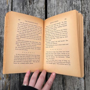 K&ouml;nnte beinhalten: Ein aufgeschlagenes Buch mit gealterten, hellbraunen Seiten und schwarzem Drucktext. Die linke Seite tr&auml;gt den Titel The Phantom Violin und die rechte Seite den Titel Greta's Secret. Das Buch ist ge&ouml;ffnet und zeigt zwei volle Textseiten.