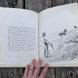 Blaze and Thunderbolt av C. W. Anderson, 1955, vintage barnbok bild 10
