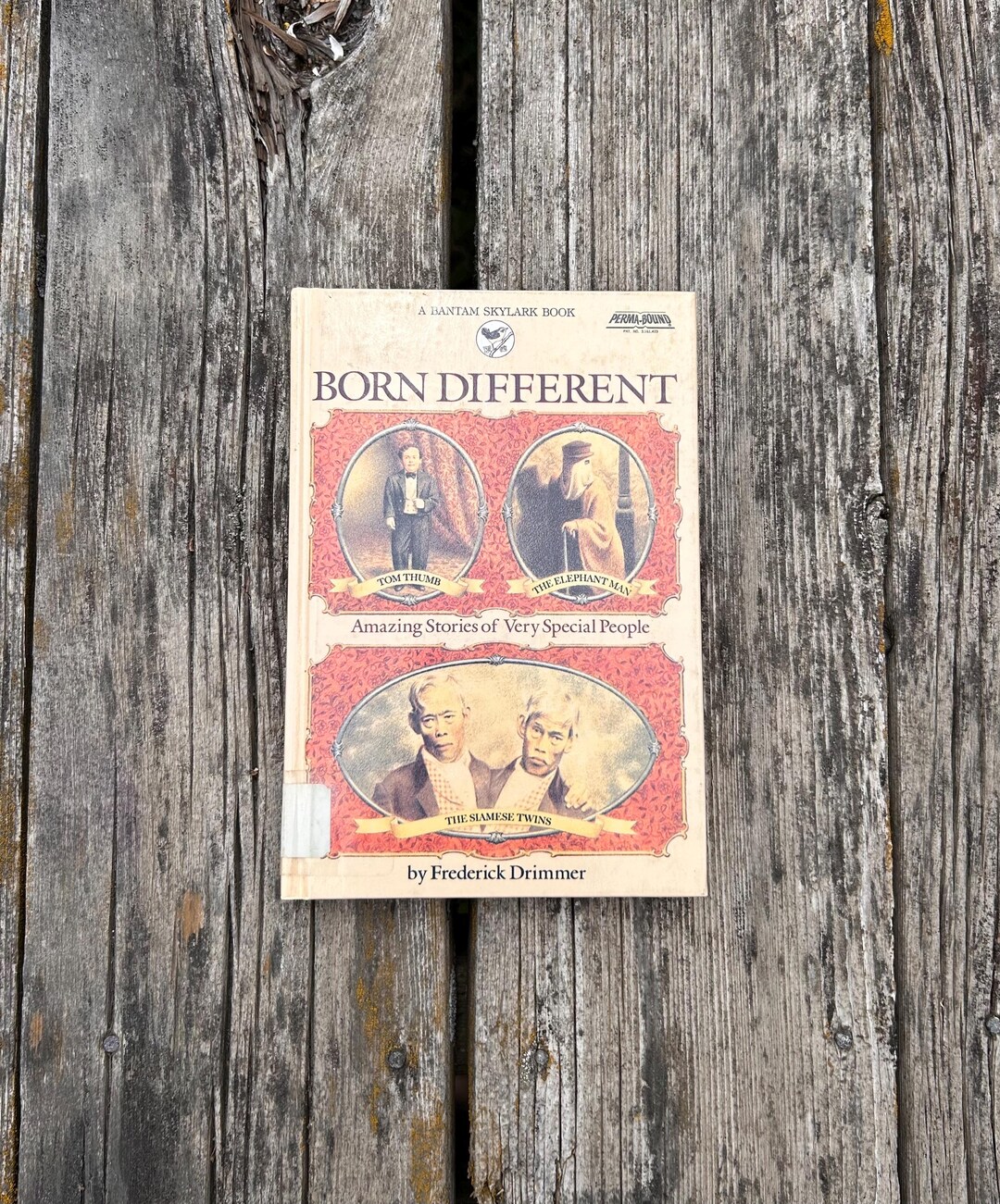 Born Different Amazing Stories of Very Special People by Frederick ...