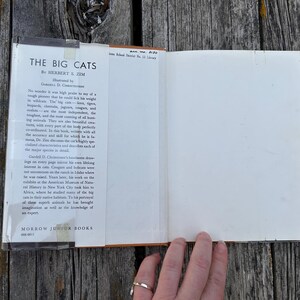 Puede incluir: Un libro de tapa dura titulado The Big Cats de Herbert S. Zim, ilustrado por Gardell D. Christensen. La sobrecubierta blanca presenta texto impreso en negro que describe leones, tigres, leopardos y otros grandes felinos, publicado por Morrow Junior Books.