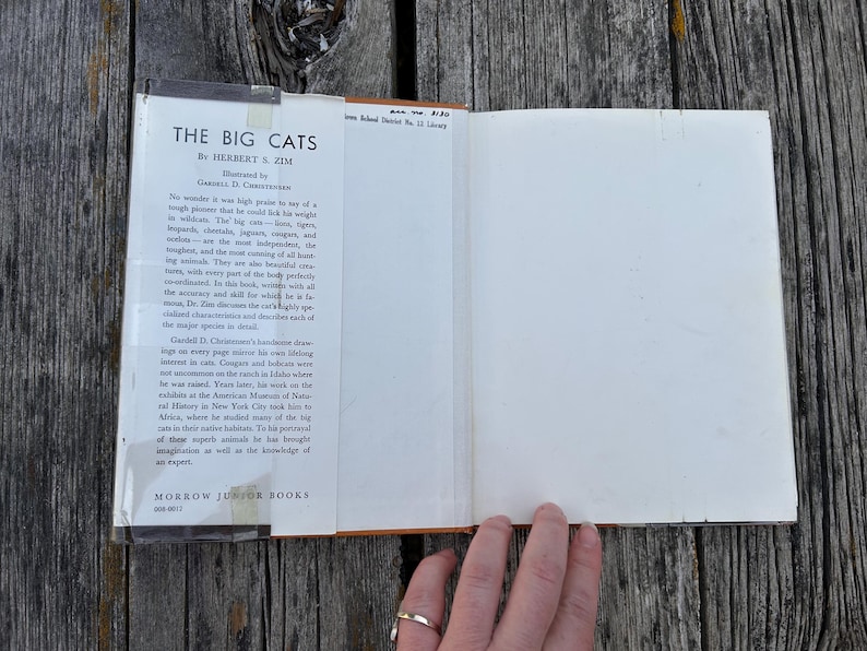 Puede incluir: Un libro de tapa dura titulado The Big Cats de Herbert S. Zim, ilustrado por Gardell D. Christensen. La sobrecubierta blanca presenta texto impreso en negro que describe leones, tigres, leopardos y otros grandes felinos, publicado por Morrow Junior Books.