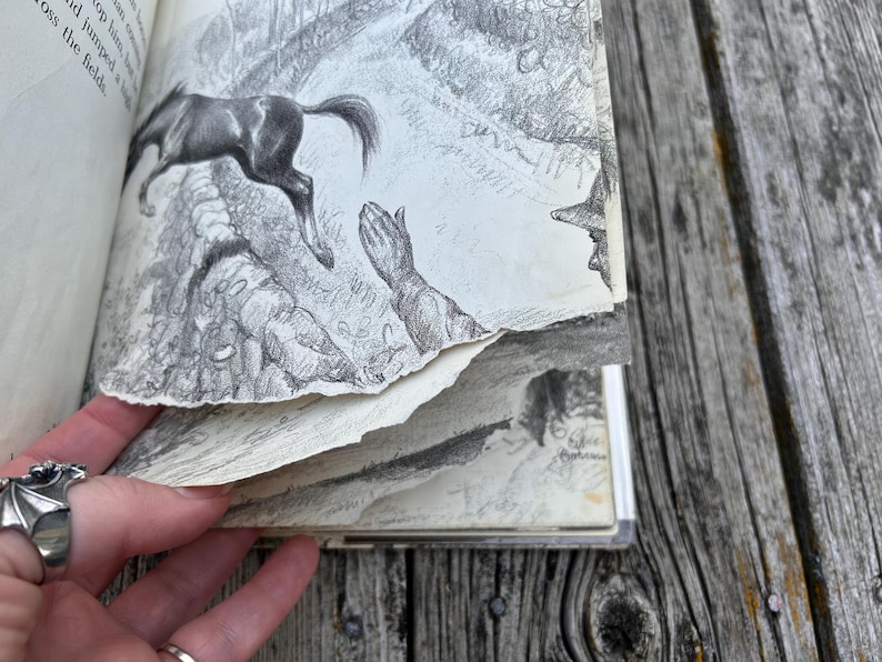 May include: A book with pages featuring black and white pencil illustrations of a horse jumping over a stone wall and a person with hands raised. The text on the page reads, "top him, he and jumped a high oss the fields."