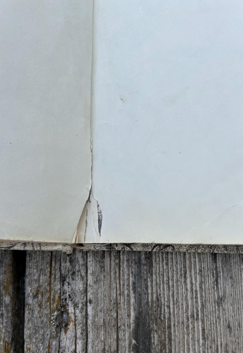 May include: A book with off-white pages showing a visible tear along the central spine gutter. The binding edge features a black and white patterned design, and the paper shows signs of age with slight discoloration and wear along the inner seam.