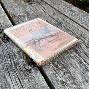 Blaze and Thunderbolt av C. W. Anderson, 1955, vintage barnbok bild 2