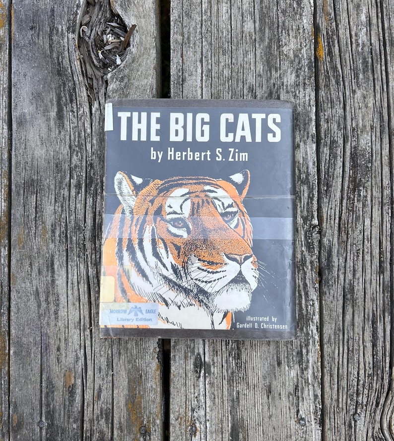 Puede incluir: Un libro de tapa dura titulado The Big Cats de Herbert S. Zim, ilustrado por Gardell D. Christensen. La sobrecubierta negra presenta una ilustraci&oacute;n detallada de un tigre naranja y negro, una pegatina de Morrow Eagle Library Edition y texto blanco.