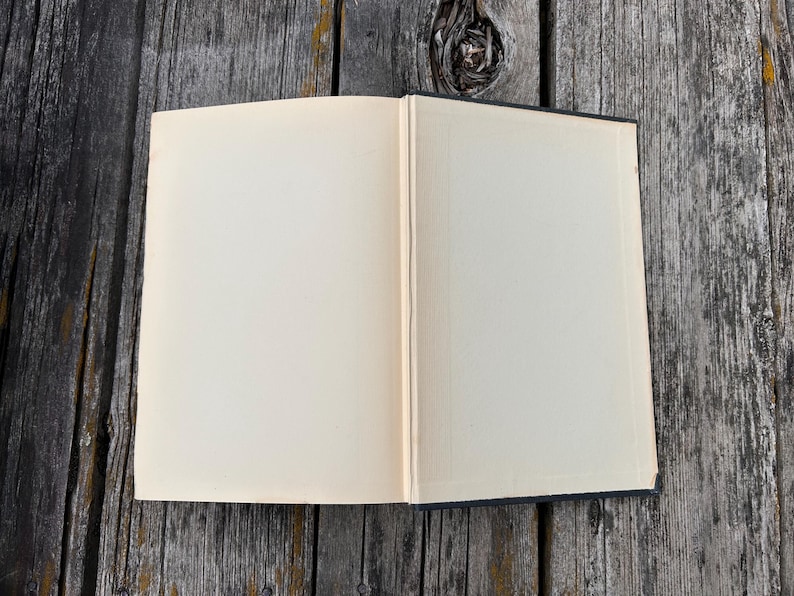 May include: An open hardcover book with blank, off-white pages. The book is positioned flat, revealing the central binding and two empty, rectangular pages. The paper has a smooth texture, and the spine is visible between the two open pages.