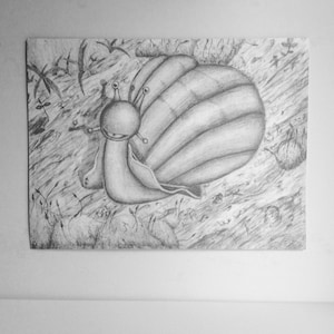 May include: A graphite pencil drawing on paper featuring a stylized snail with a large, rounded shell and two antennae with circular tips. The snail is positioned in a textured, shaded environment with small plants and ground details surrounding it.