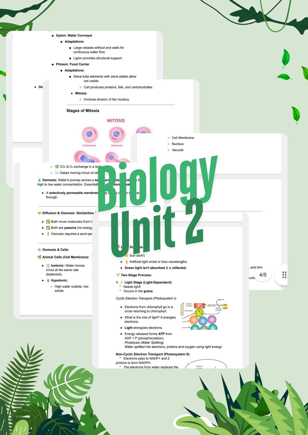 LC Biology Unit 2 Notes - Etsy