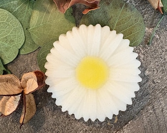 May include: A white daisy-shaped soap with a yellow center. The soap is surrounded by green leaves, dried flowers, and brown petals. The soap has a textured, scalloped edge.