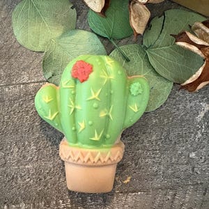 Cactus soap