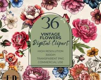 Vintage Flower Clipart for commercial use, Transparent PNG, Floral, Victorian Flowers, Nature, Natural, Bouquet
