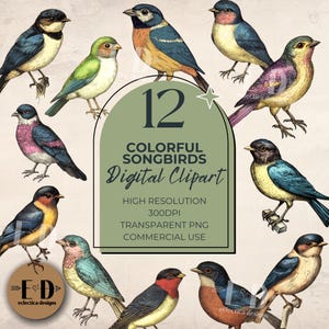 Colorful Songbirds Clipart for commercial use, 12 Files, Transparent PNG, Bird, Songbird, Nature, Birds, Wren, Sparrow, Robin, Chickadee