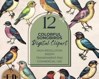 Colorido Songbirds Clipart para uso comercial, 12 arquivos, PNG transparente, pássaro, pássaro canoro, natureza, pássaros, Wren, pardal, Robin, Chickadee