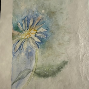 Cartões de felicitações Desenhos em aquarela inspirados na natureza