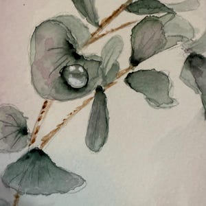 Cartões de felicitações Desenhos em aquarela inspirados na natureza