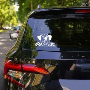 Funny Dog Car Decal | Funny Car Decal | Dog Car Decal | Silly Car Decal | Car Accessories | Car Decal