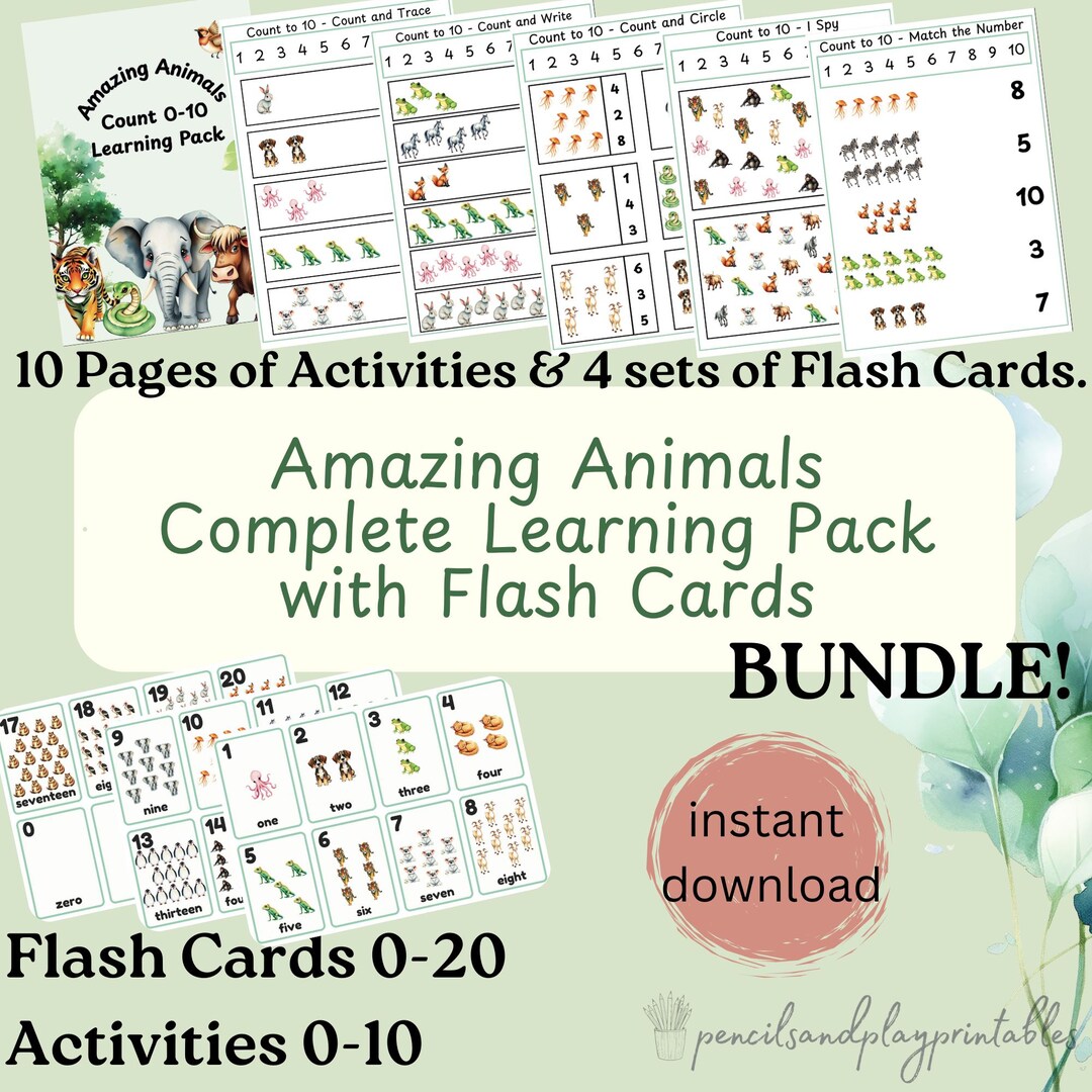 BUNDLE, Amazing Animals Number Flash Cards & Learning Pack, Learn to ...