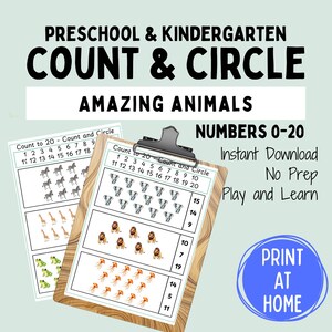 Amazing Animals Count and Circle Activity Worksheets, Count to 20, Numbers, Learn to Count with Animals, PDF Instant Download